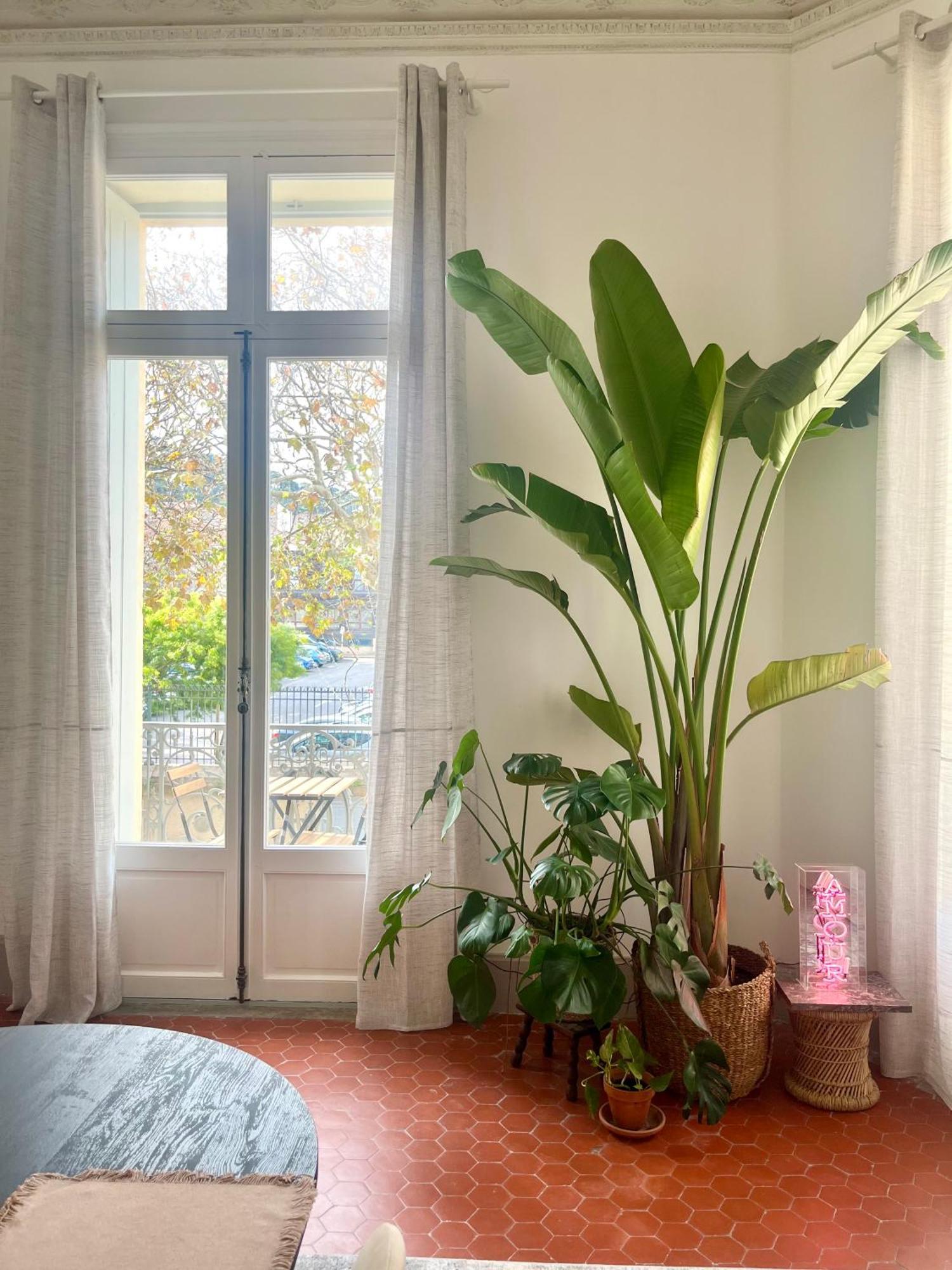 L'Echappee Setoise - Appartement Haussmannien - Localisation Exceptionnelle - Proche Canal Sète Zewnętrze zdjęcie